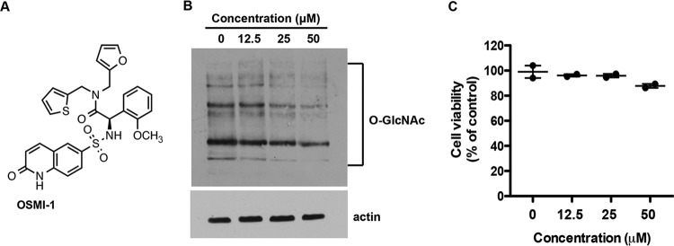 FIG 1