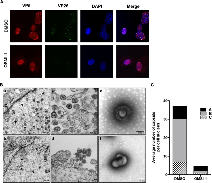 FIG 6