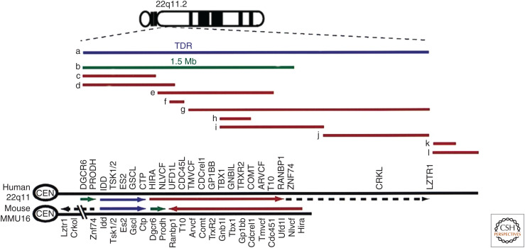 Figure 6.