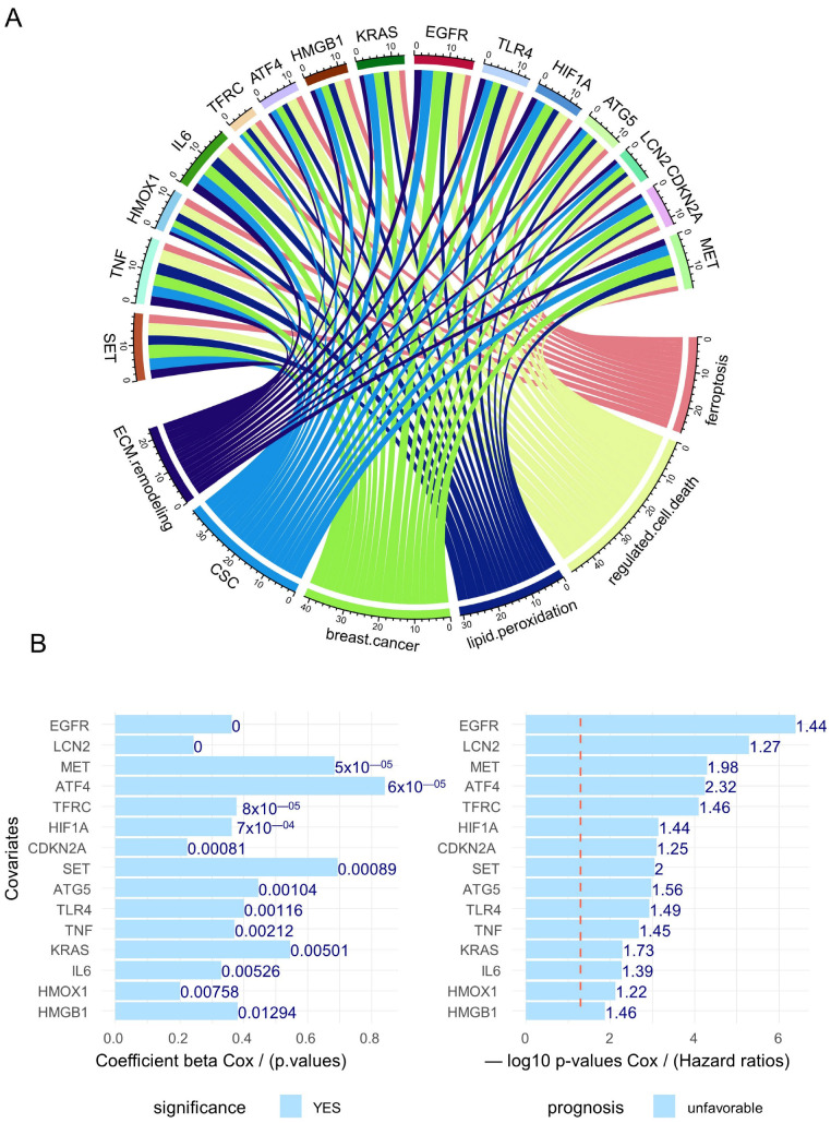 Adverse Crosstalk between Extracellular Matrix Remodeling and ... image.