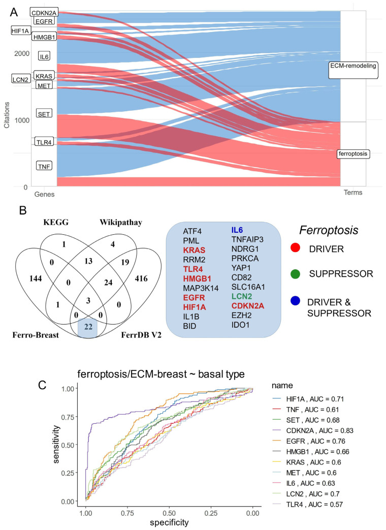 Adverse Crosstalk between Extracellular Matrix Remodeling and ...