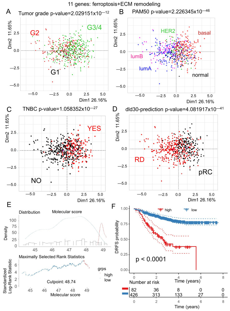 Adverse Crosstalk between Extracellular Matrix Remodeling and ...