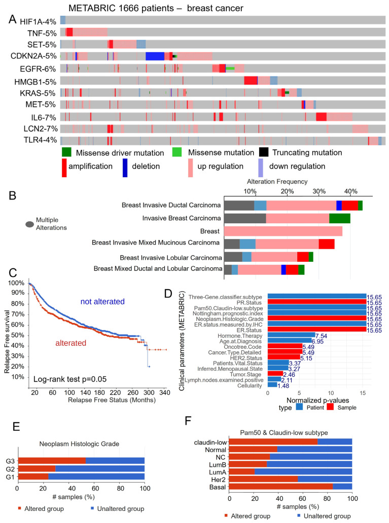 Adverse Crosstalk between Extracellular Matrix Remodeling and ...