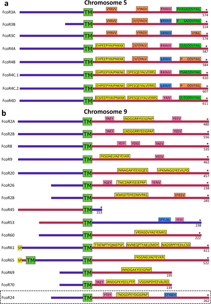 Extended Data Fig. 6