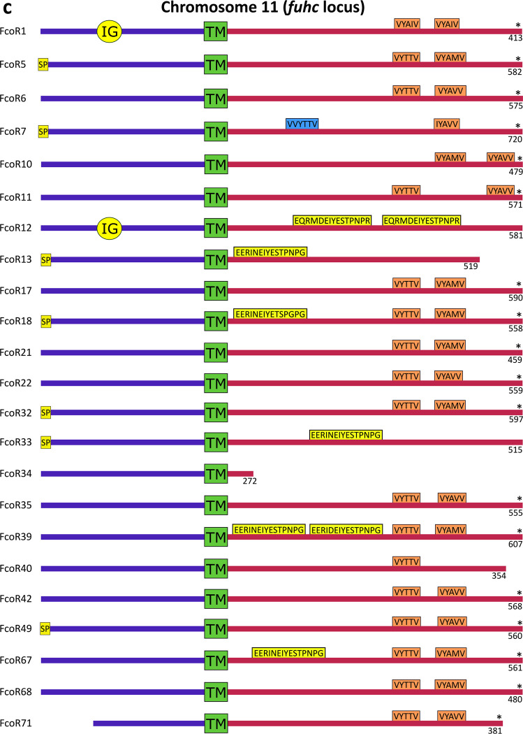 Extended Data Fig. 6