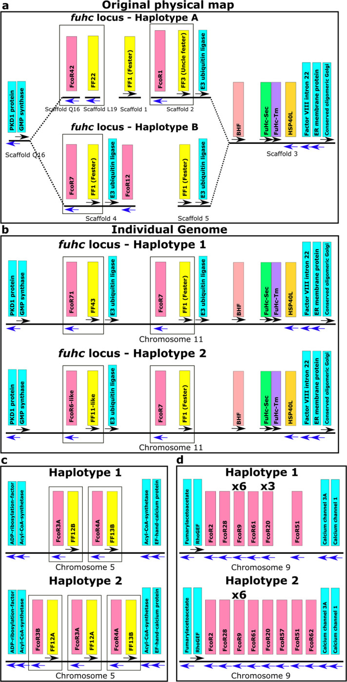 Fig. 4