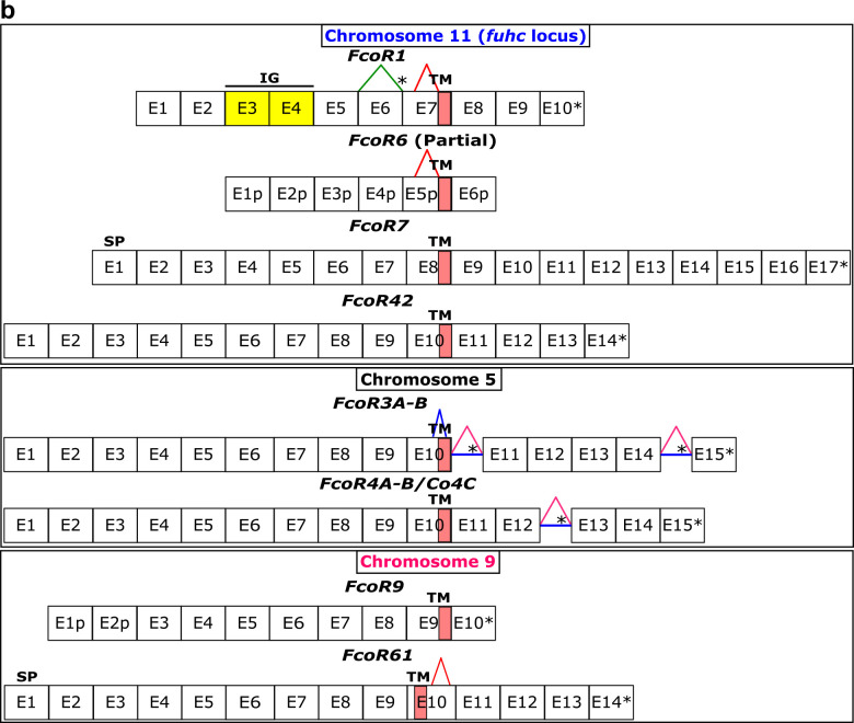 Extended Data Fig. 4