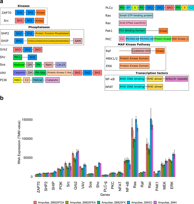 Extended Data Fig. 10