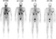 <b>FIG. 1.</b>