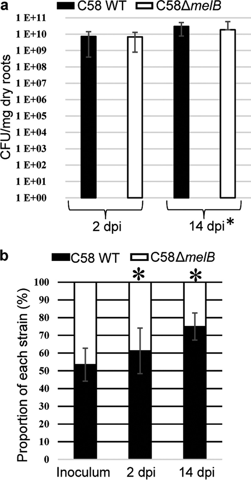 Figure 6.