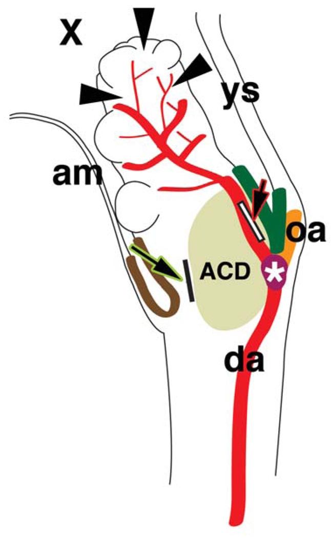 Fig. 12