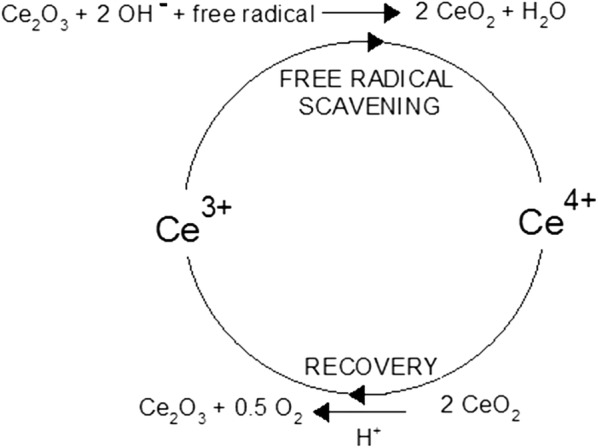 Fig. 1