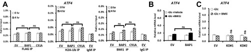 Fig. S12.