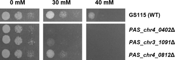 Fig. 1