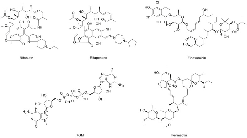 Fig. 8