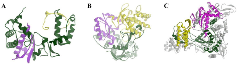 Fig. 2