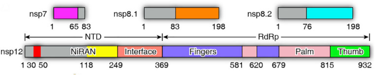 Fig. 1