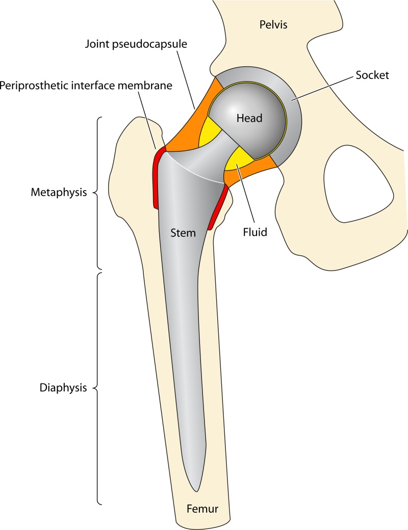 FIG 2