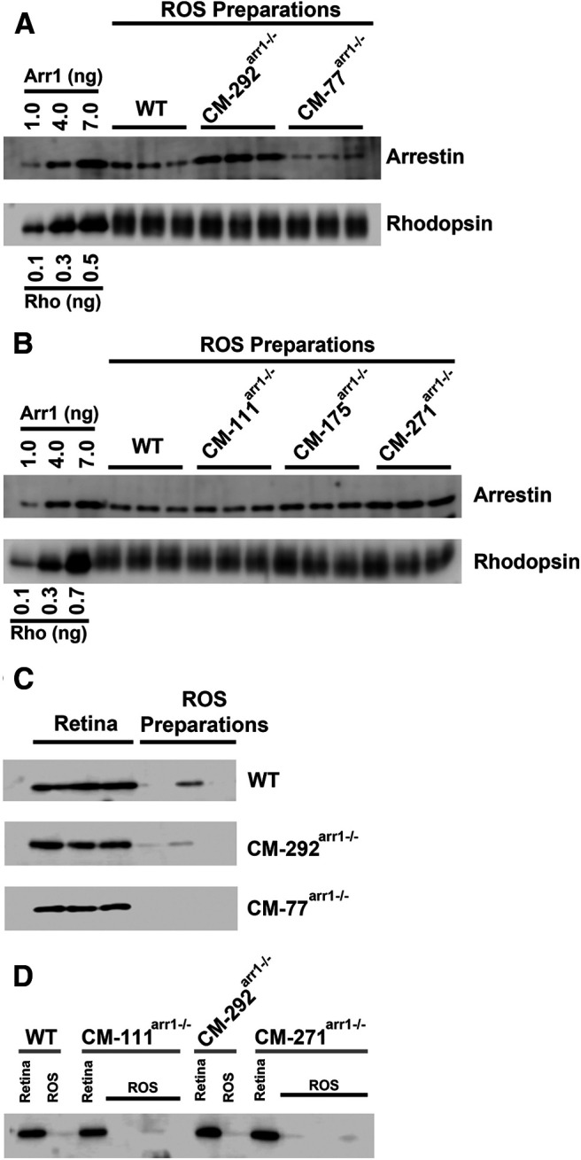 Figure 7.