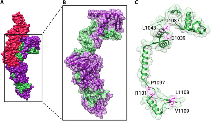 FIG 5