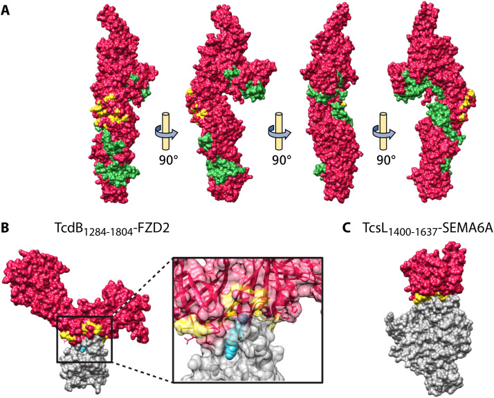 FIG 4