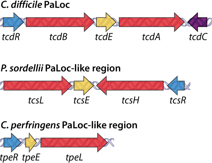 FIG 2