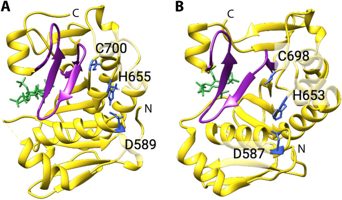 FIG 6