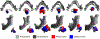 Figure 4: