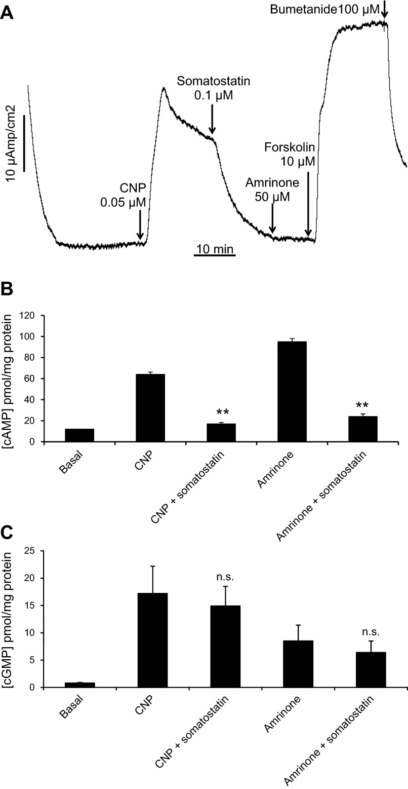 Fig. 8.