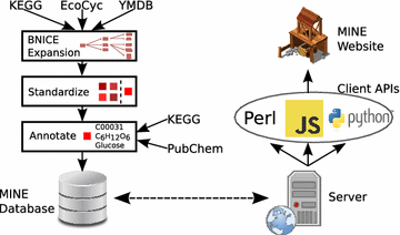 Graphical abstract