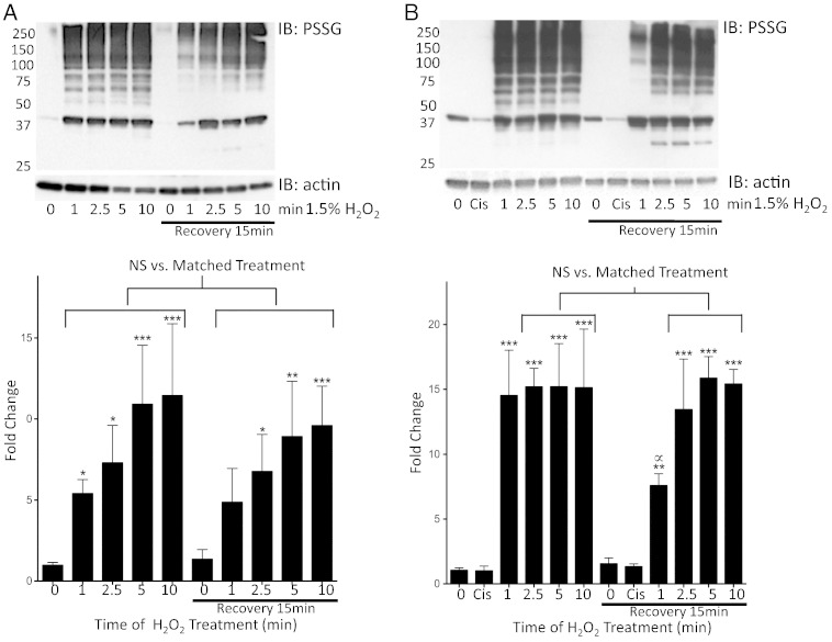 Fig. 6