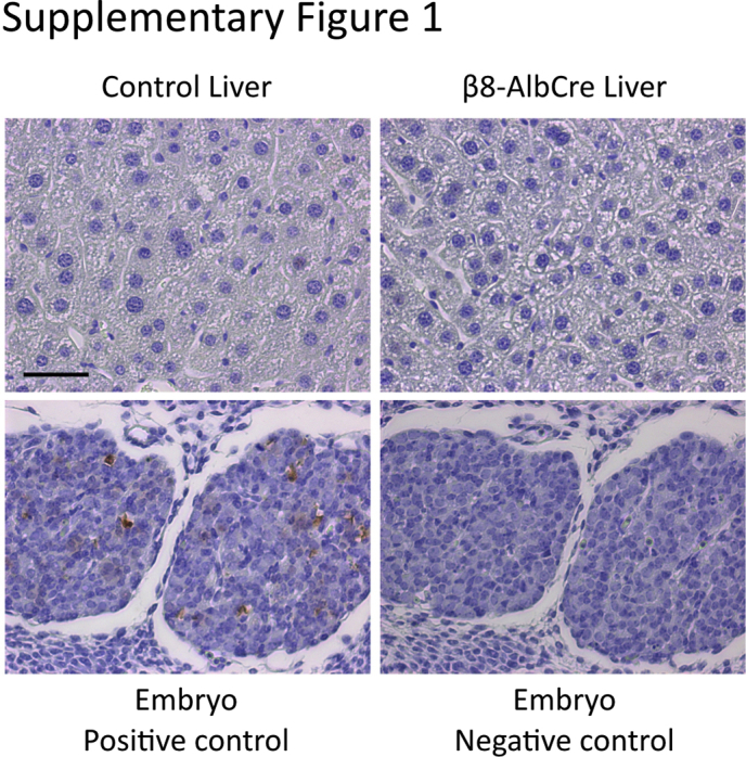 Supplemental Figure S1