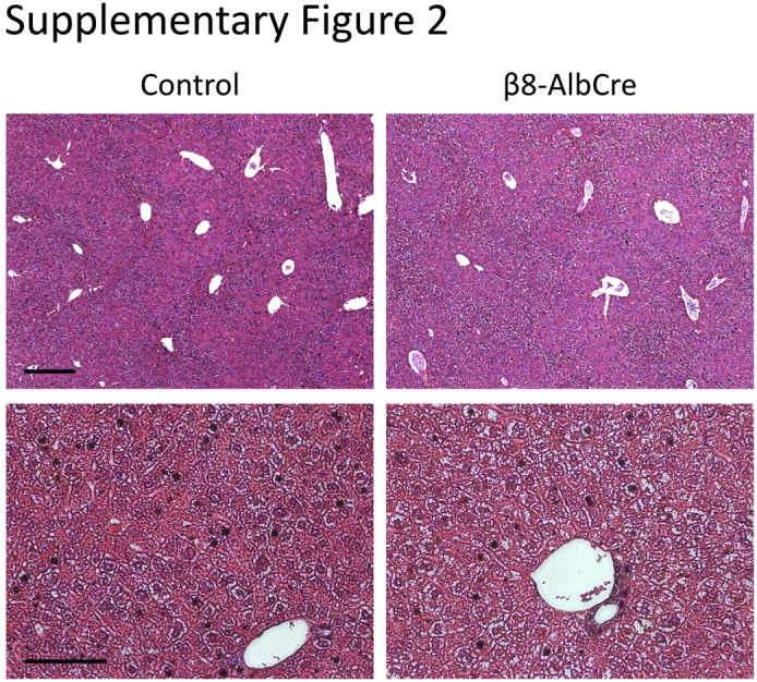 Supplemental Figure S2