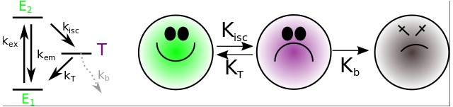 Appendix 1—figure 13.