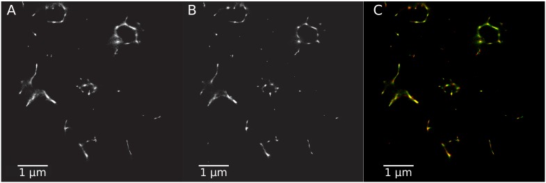 Appendix 1—figure 16.