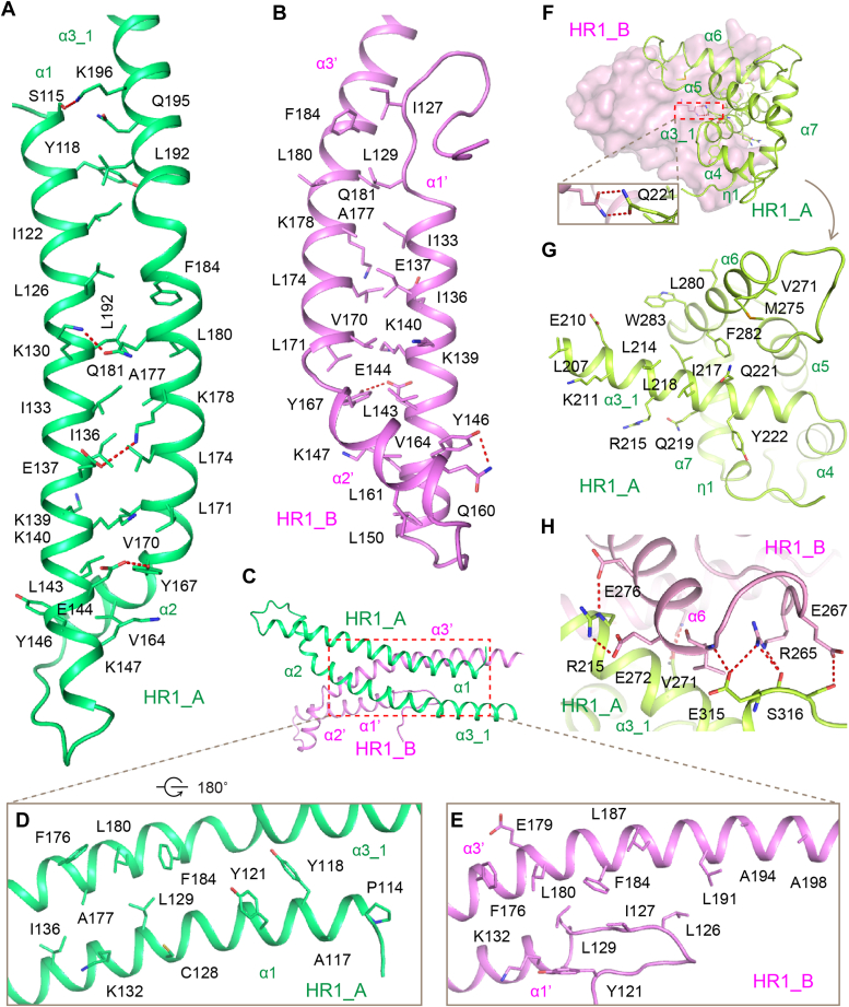 Figure 2