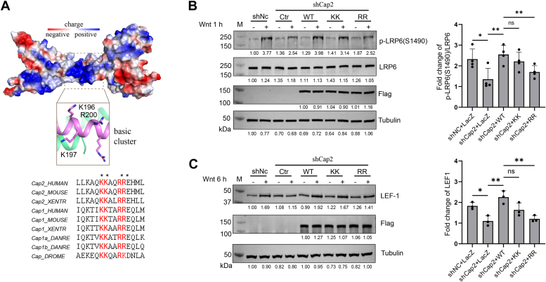 Figure 3