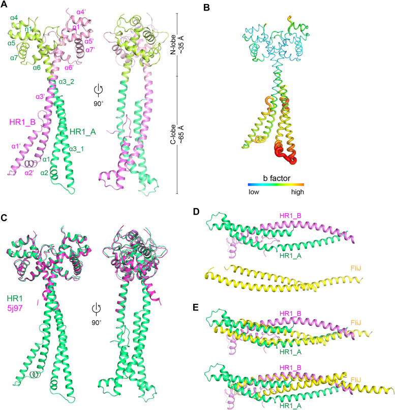 Figure 1