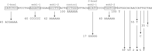 FIG. 4.