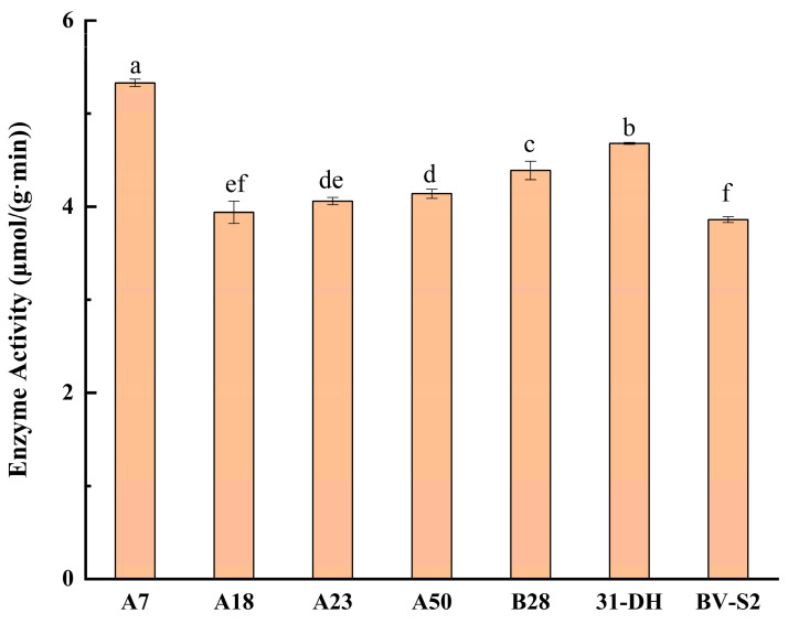 Figure 7