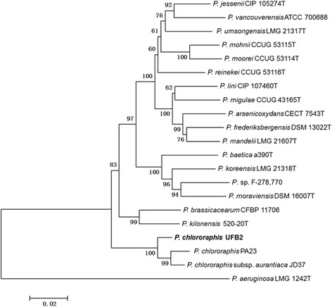 Fig. 2