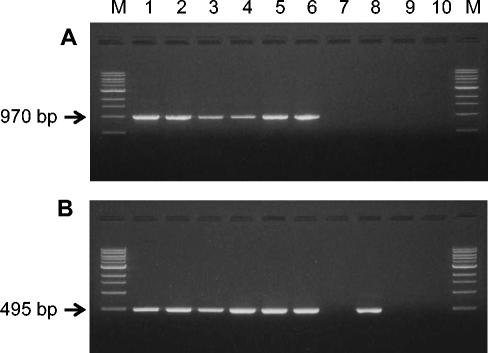 FIG. 8.