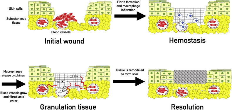 Figure 2