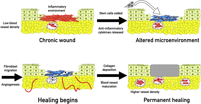 Figure 4