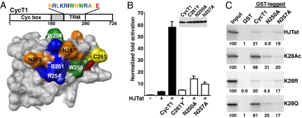 Fig. 4.