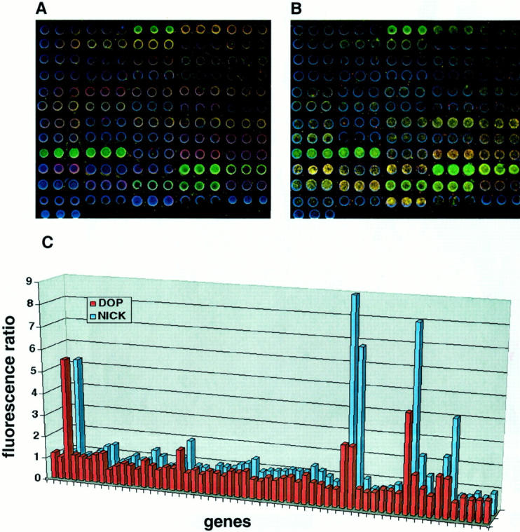 Figure 2.