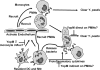 FIG. 8.