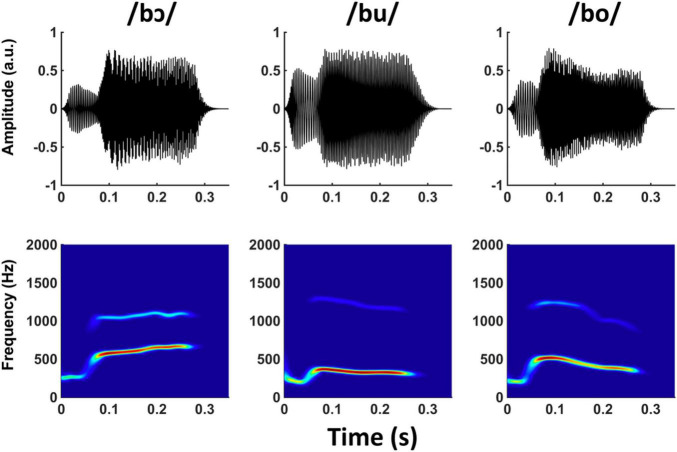 FIGURE 1