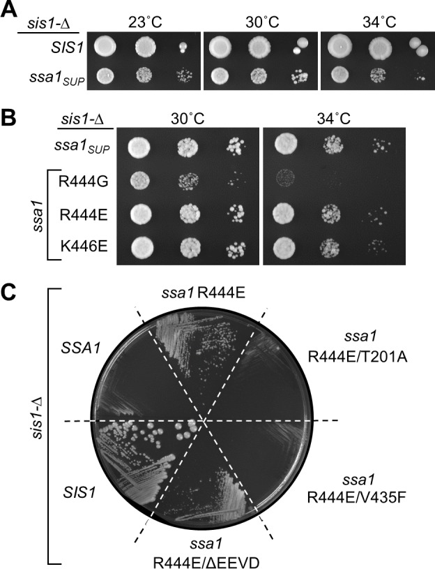 Fig 5