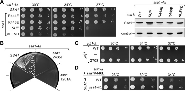 Fig 8